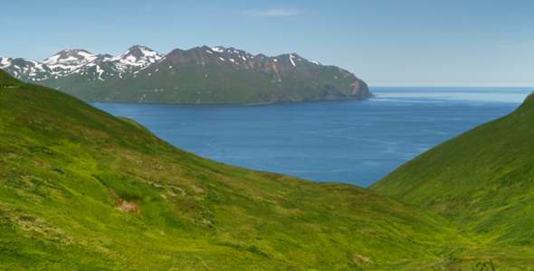 Tundra in the foreground, snow-capped mountains of Cape Cheerful area across the bay in the background