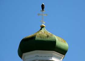 Closeup of eagle on one of the crosses atop cathedral, and stains on the onion dome underneath