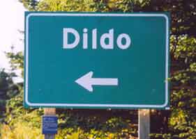 Road sign directing travelers left to Dildo village