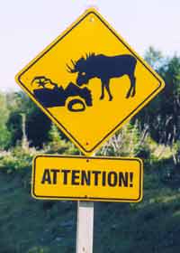 Moose warning sign, showing car smashed up against moose